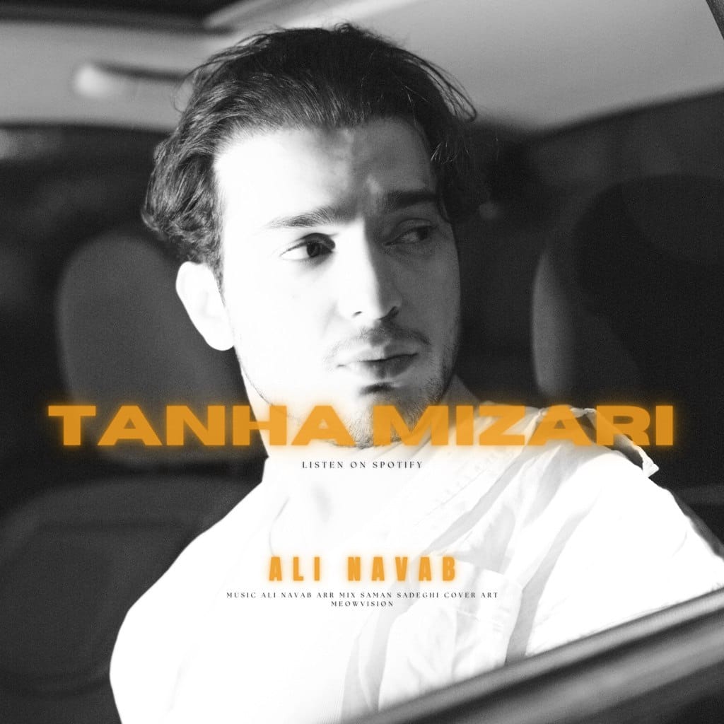 تنها میزاری- دانلود جدید ترین موزیک ها با موزیشن